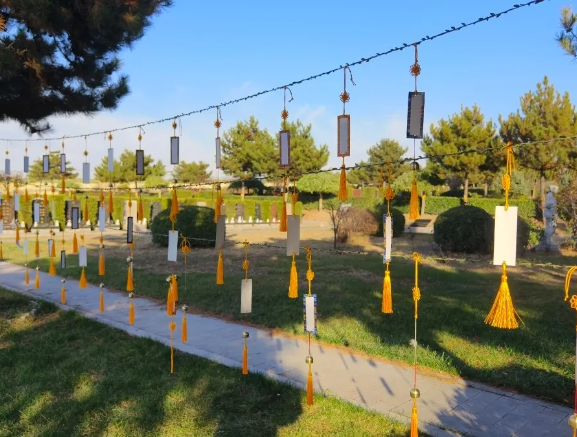 首页-人生就是博