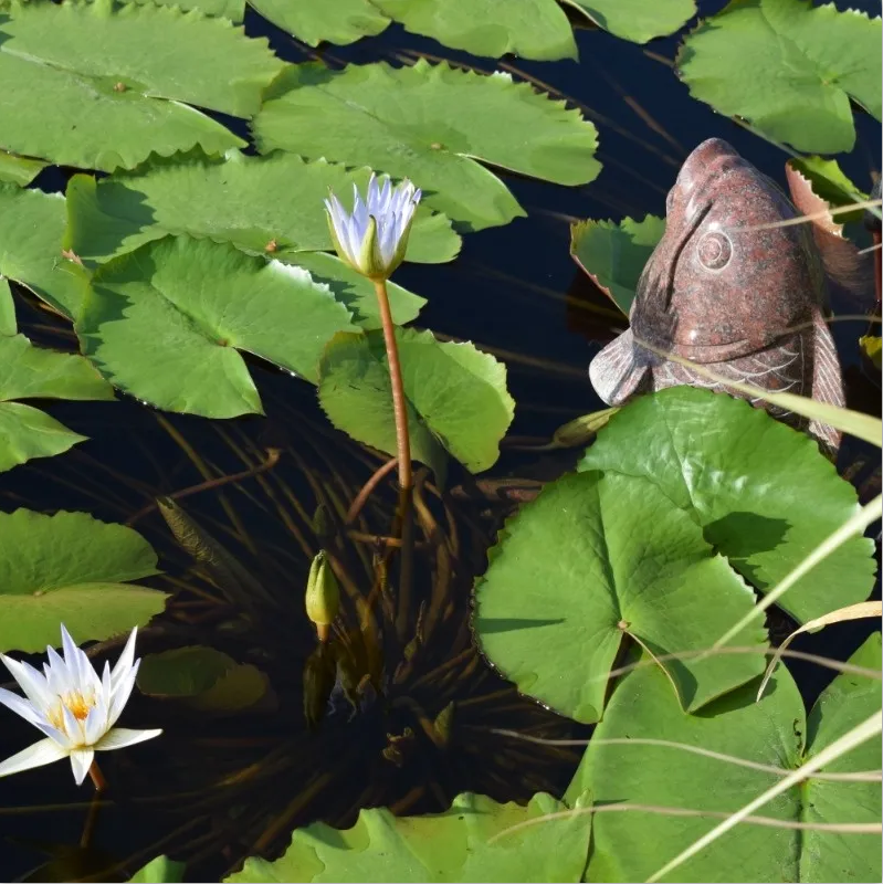 首页-人生就是博