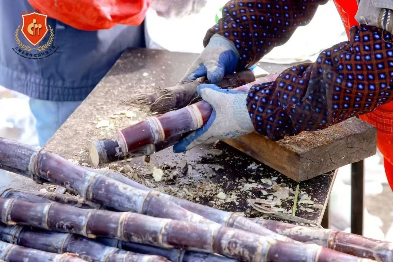 首页-人生就是博