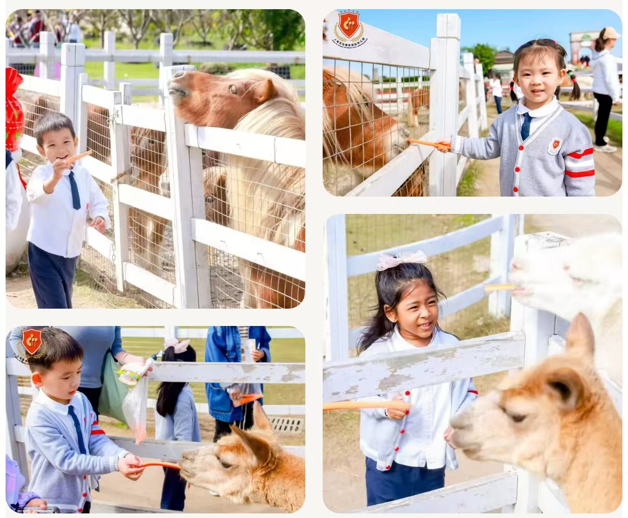 首页-人生就是博