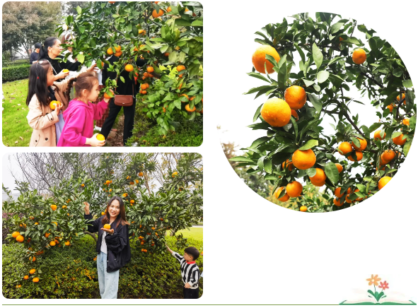 首页-人生就是博