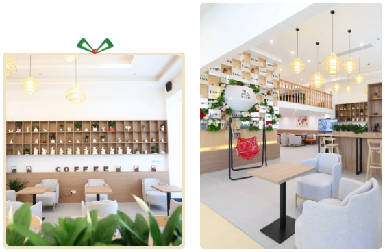 首页-人生就是博