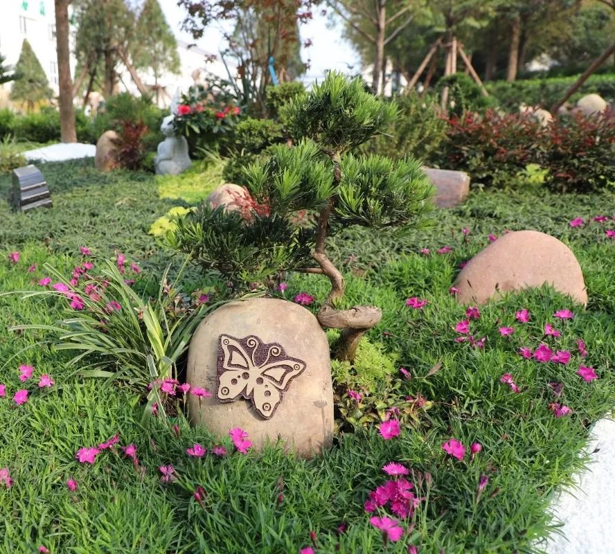 首页-人生就是博