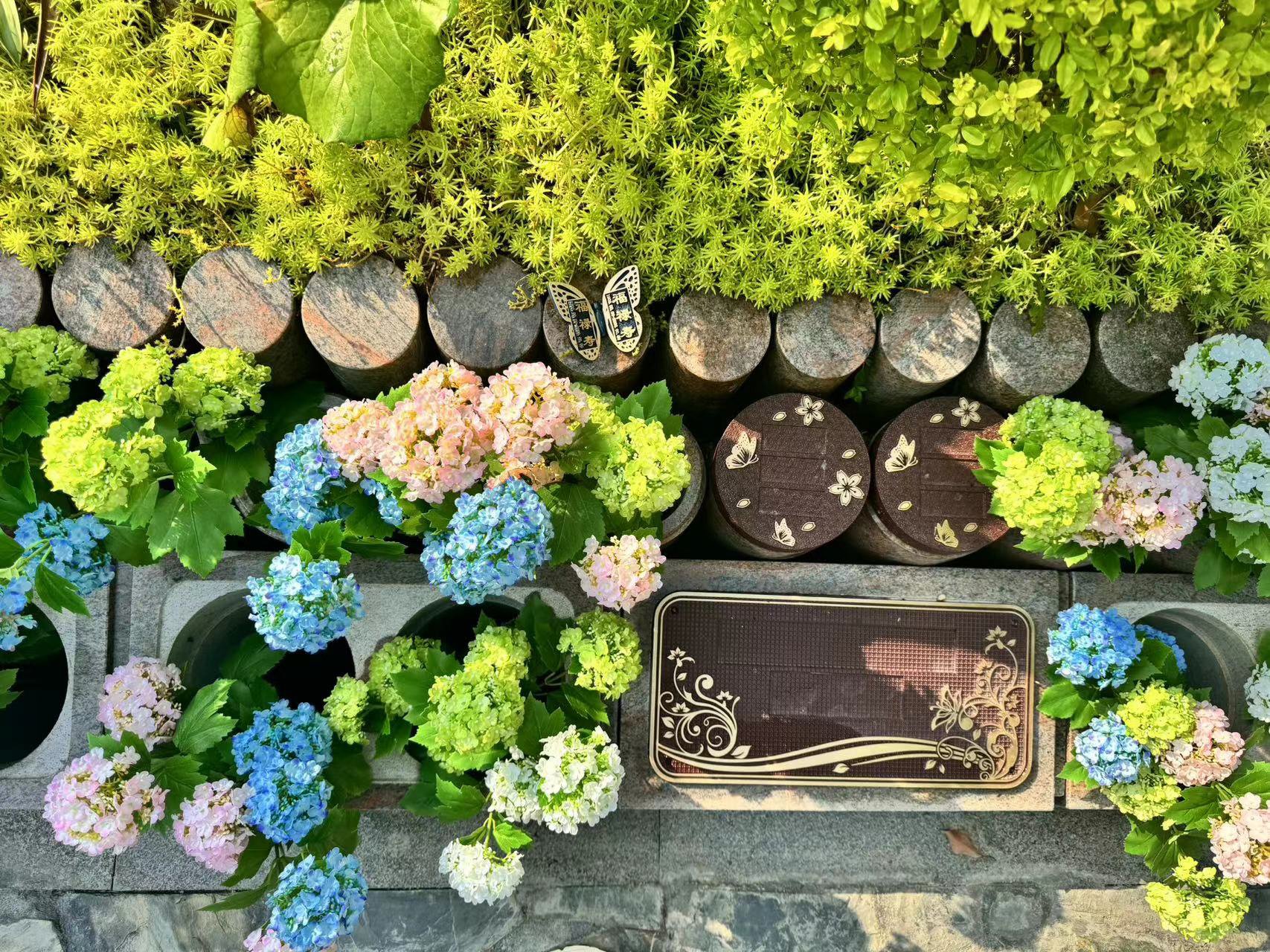 首页-人生就是博