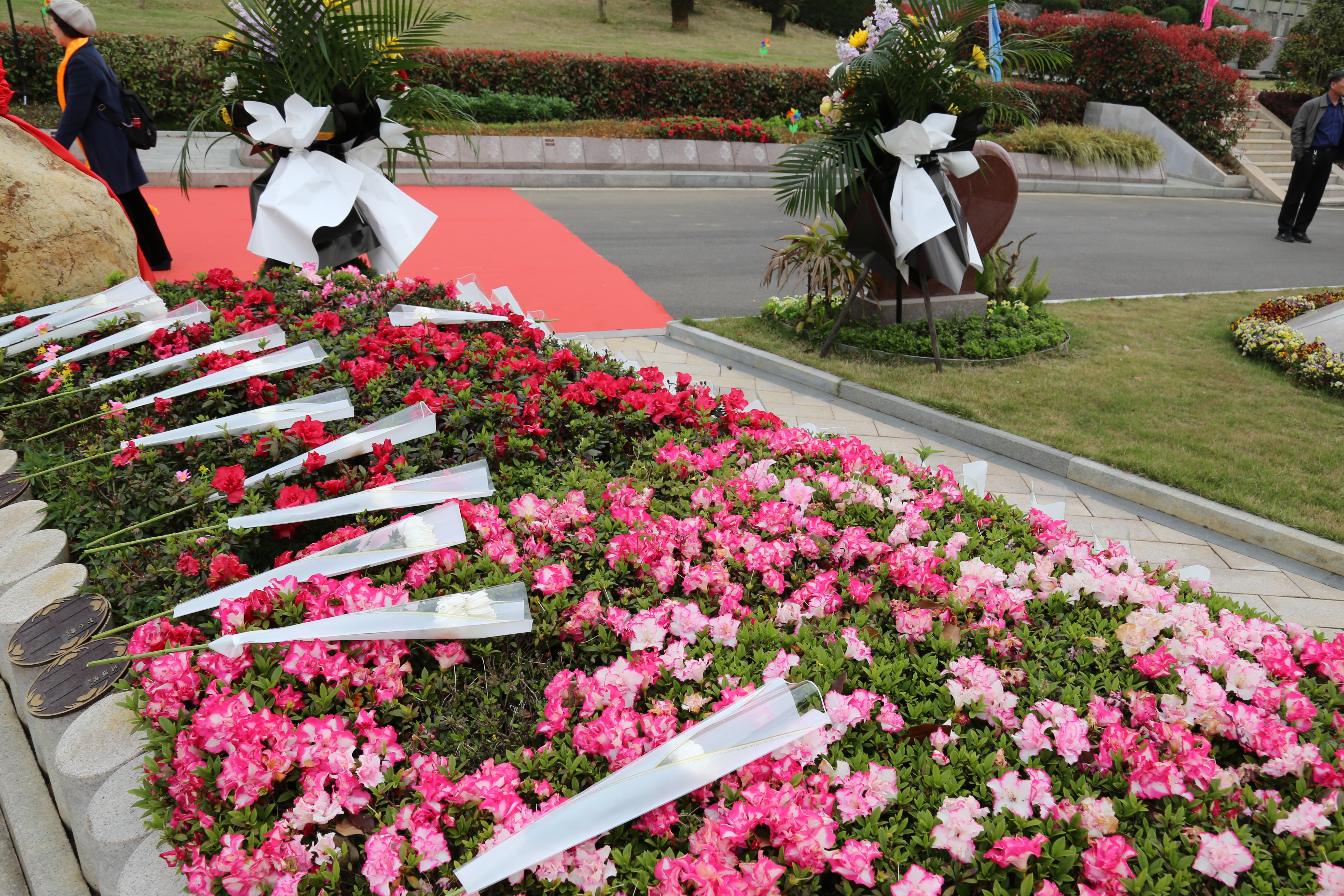 首页-人生就是博