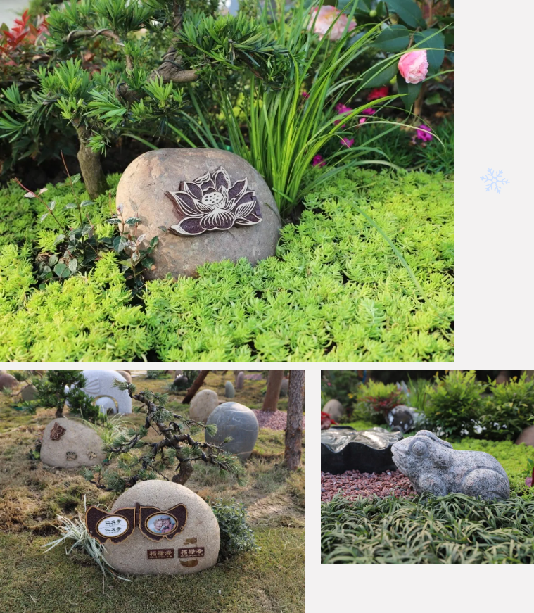 首页-人生就是博