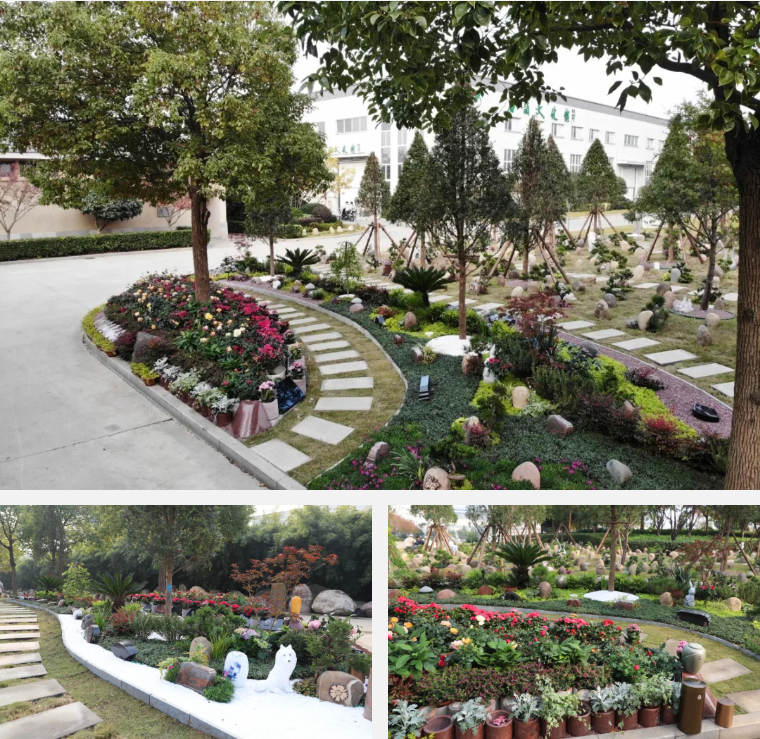 首页-人生就是博