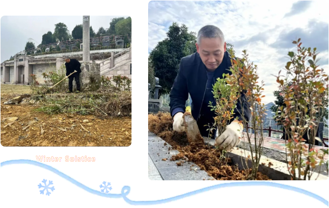 首页-人生就是博