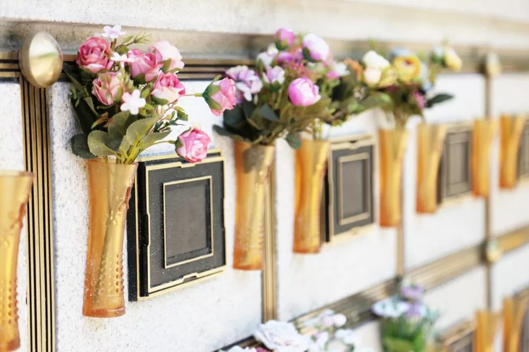 首页-人生就是博