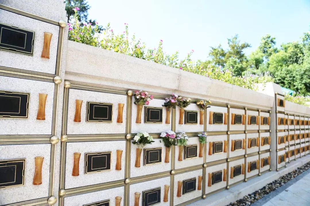 首页-人生就是博