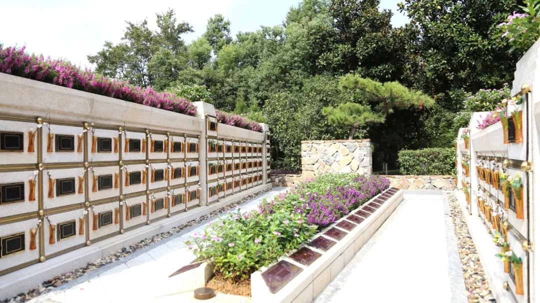 <b>在合肥大蜀山文化陵园，，，，，，与生命温柔对话</b>