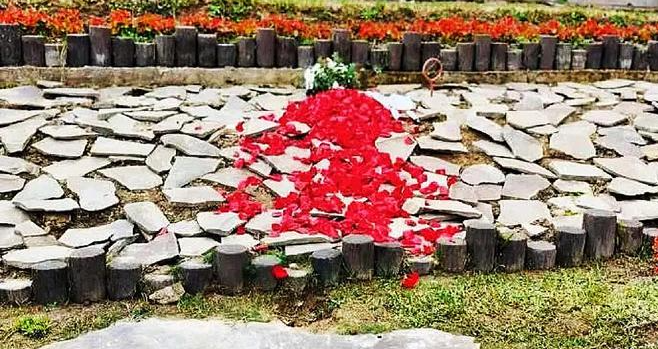 首页-人生就是博