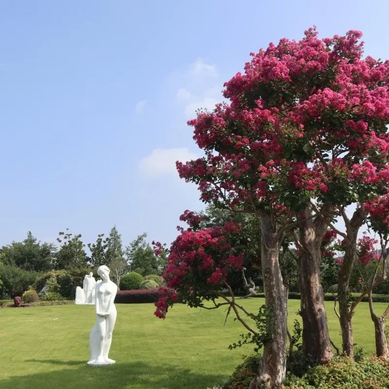 首页-人生就是博