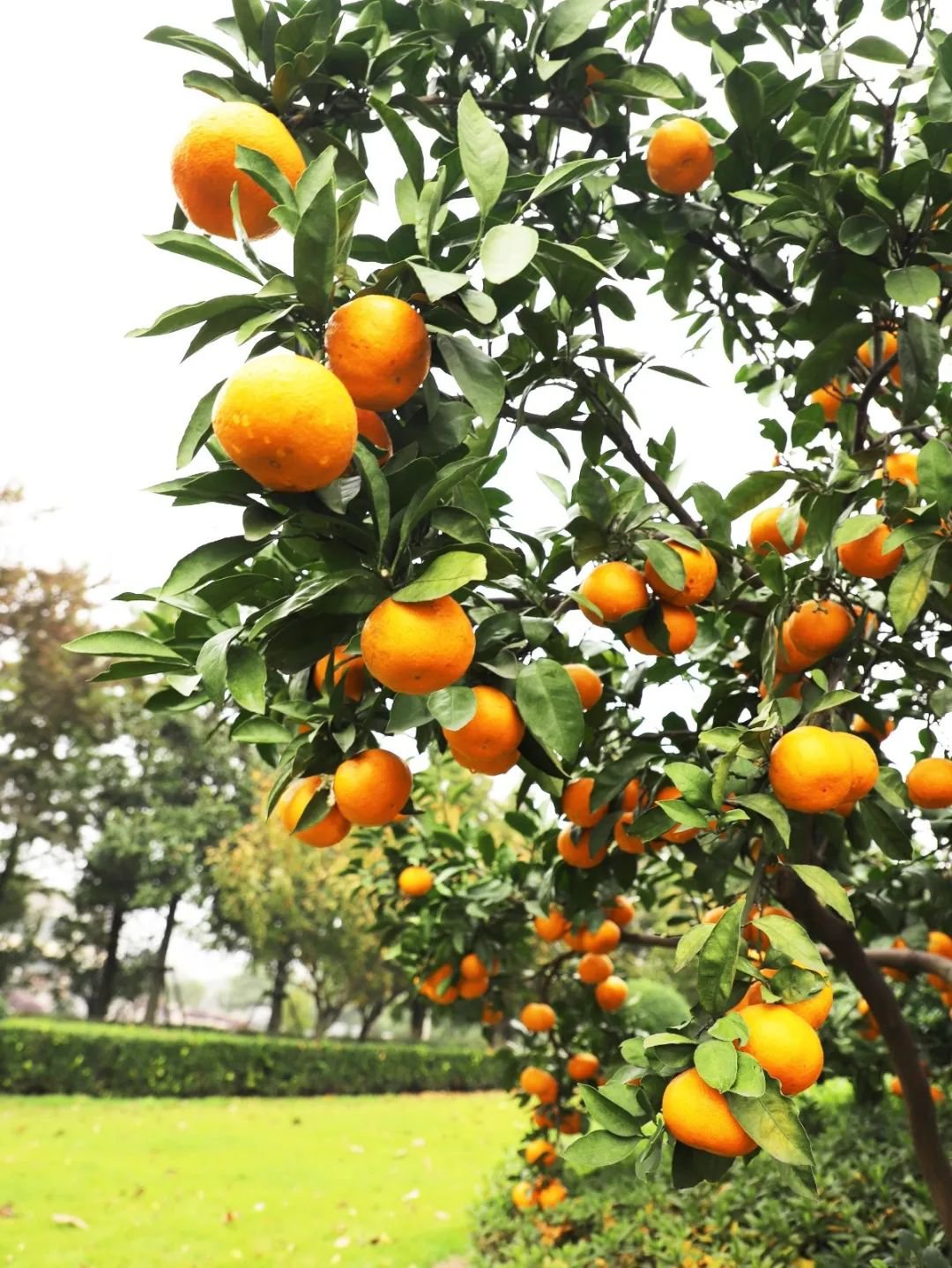 首页-人生就是博