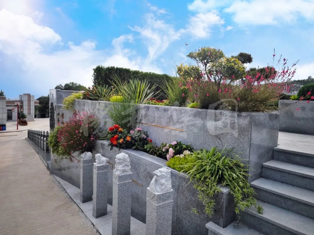 首页-人生就是博