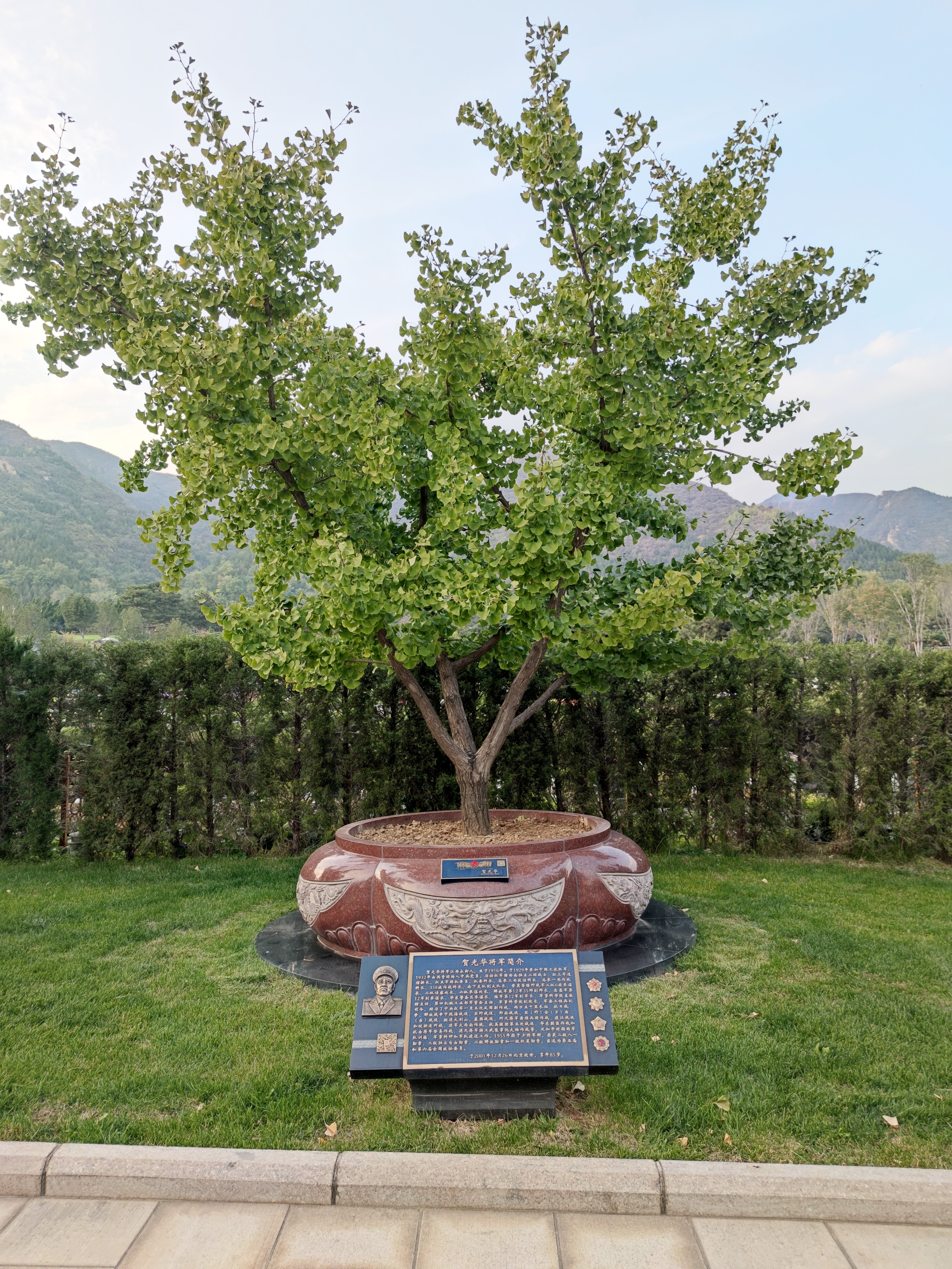 首页-人生就是博