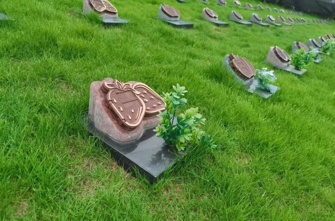 首页-人生就是博