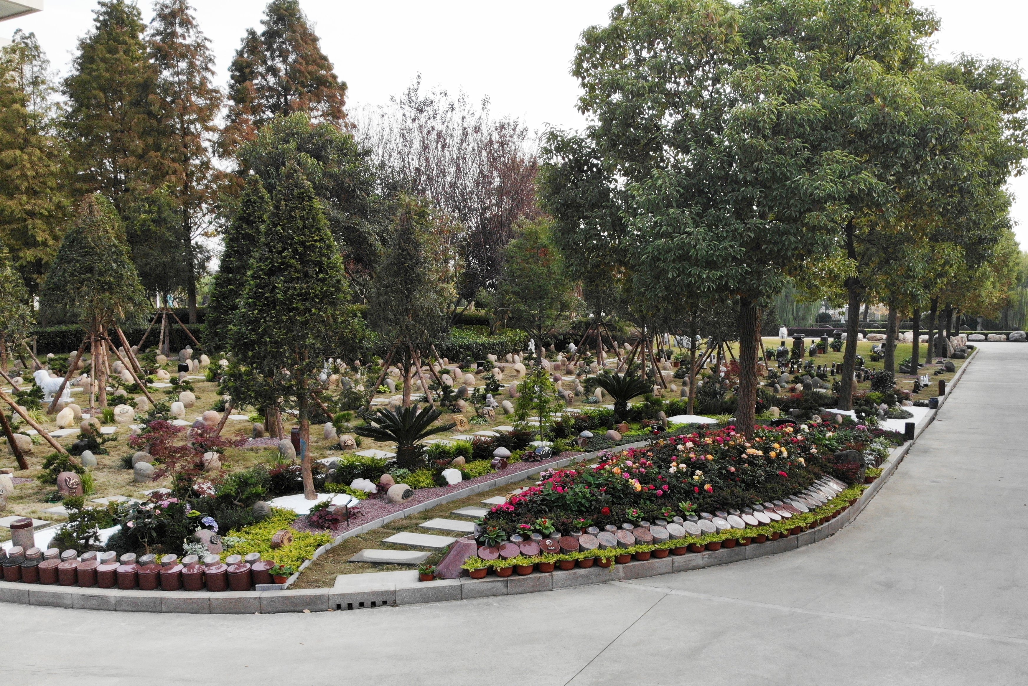 首页-人生就是博