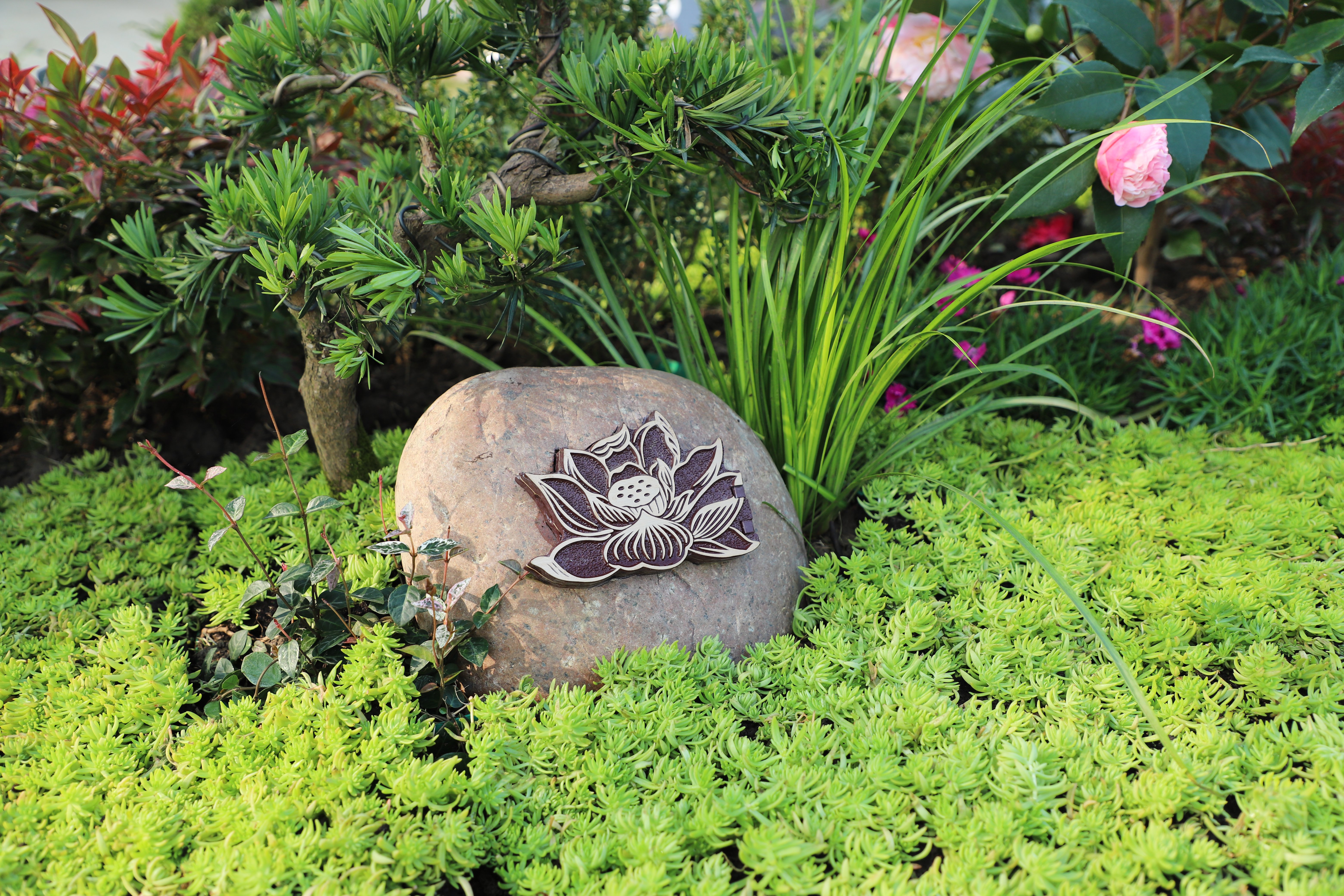 首页-人生就是博