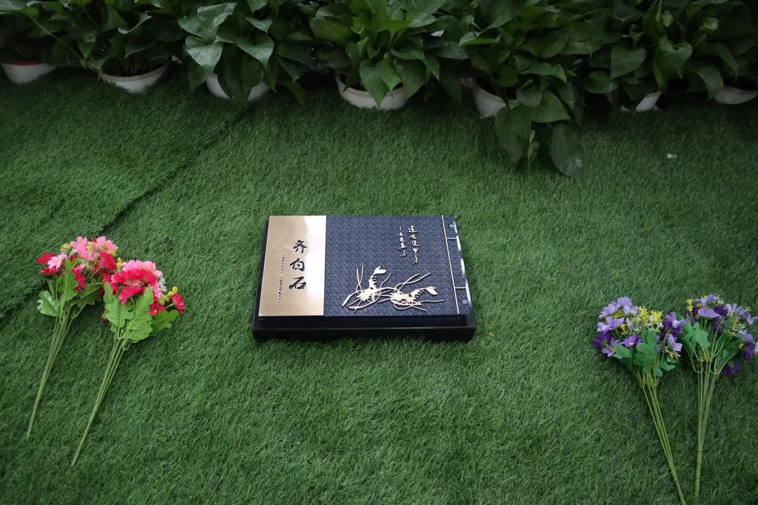 首页-人生就是博