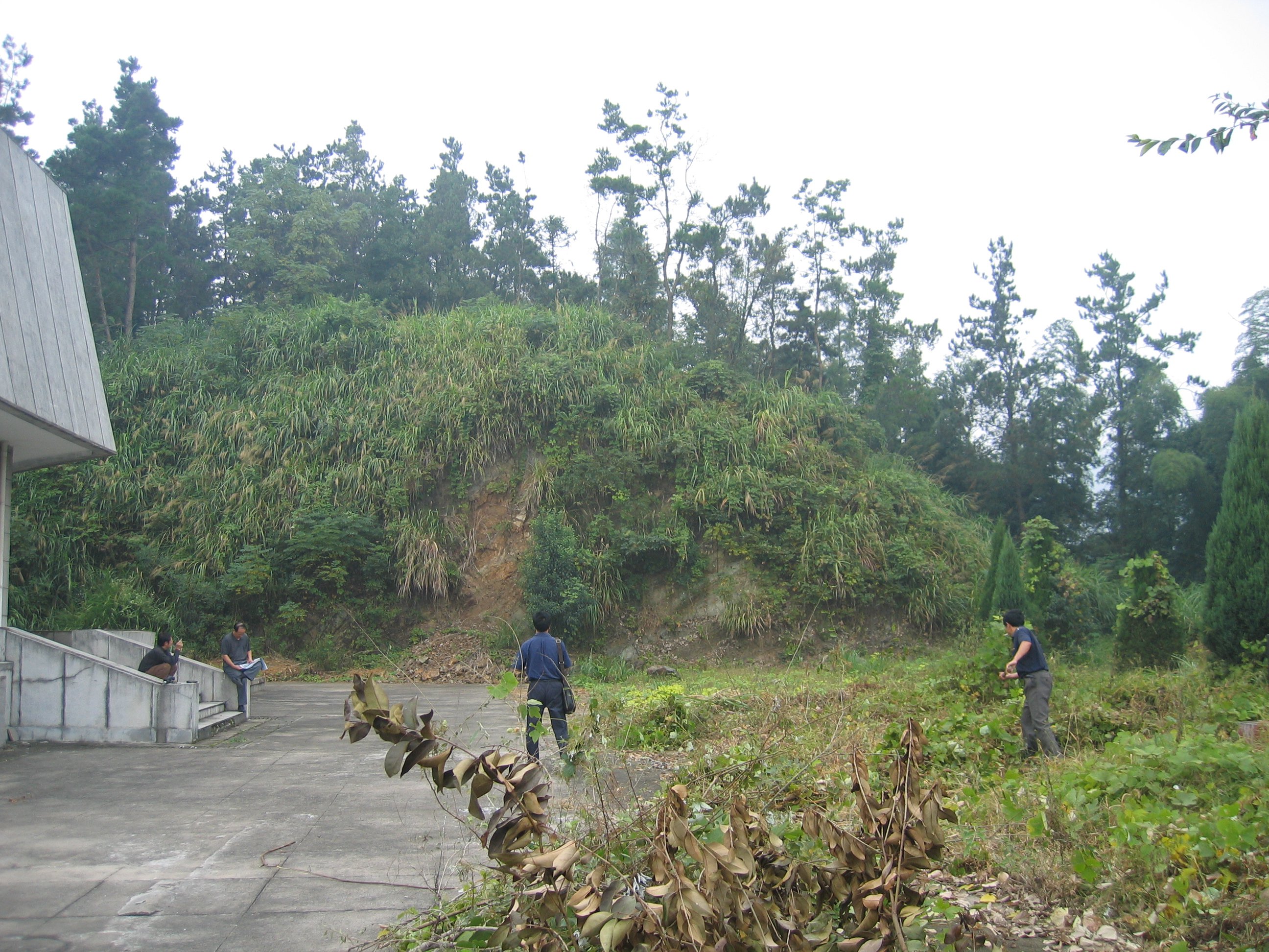 首页-人生就是博