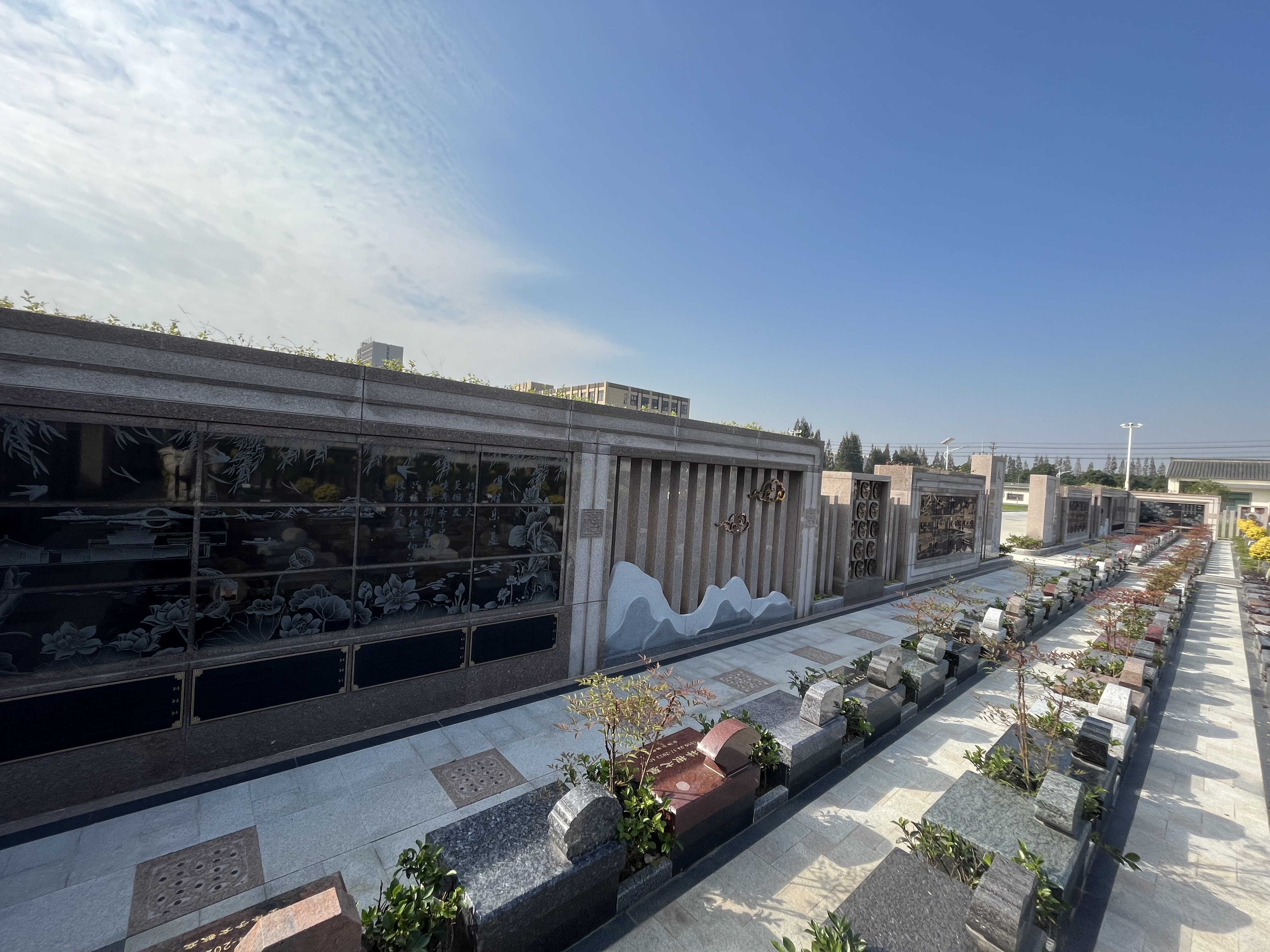 首页-人生就是博