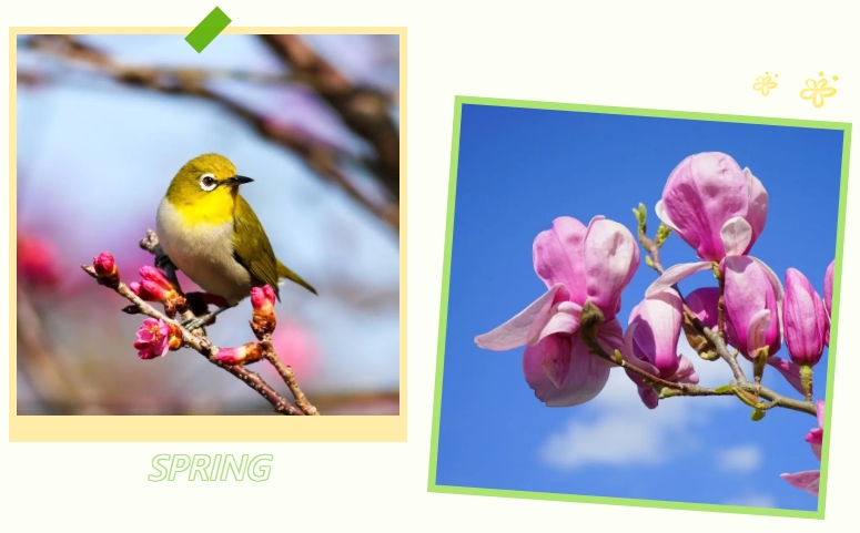 首页-人生就是博