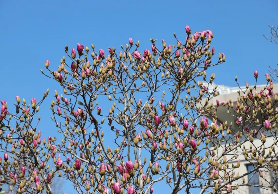 首页-人生就是博