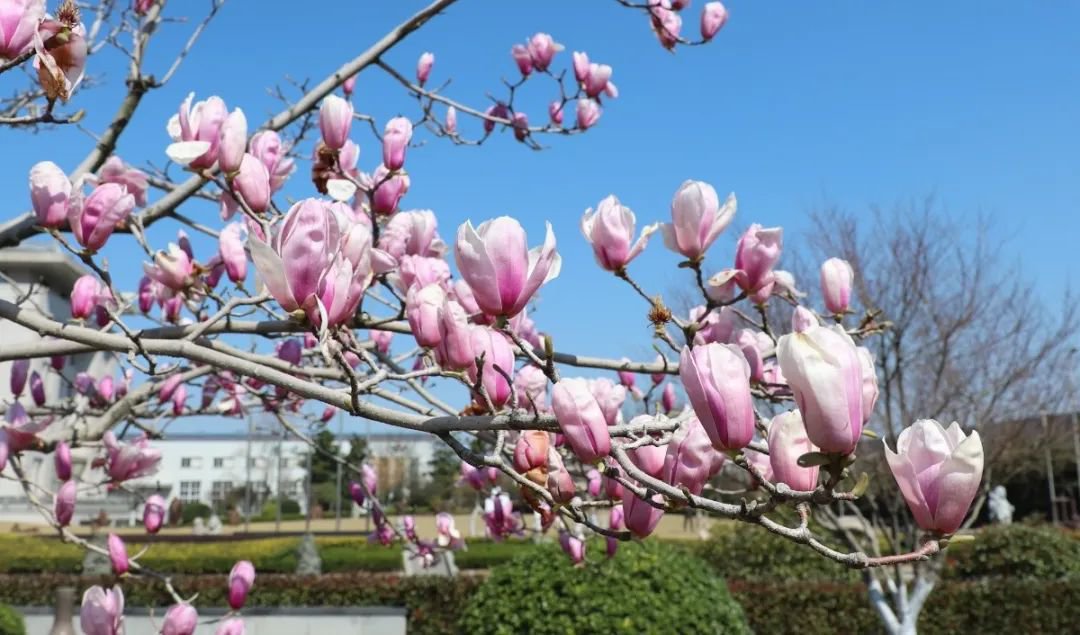 首页-人生就是博