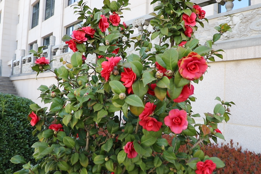 首页-人生就是博