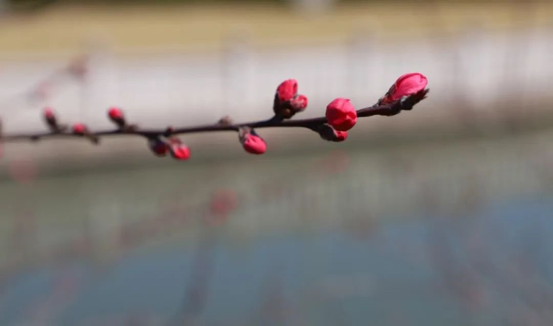 首页-人生就是博