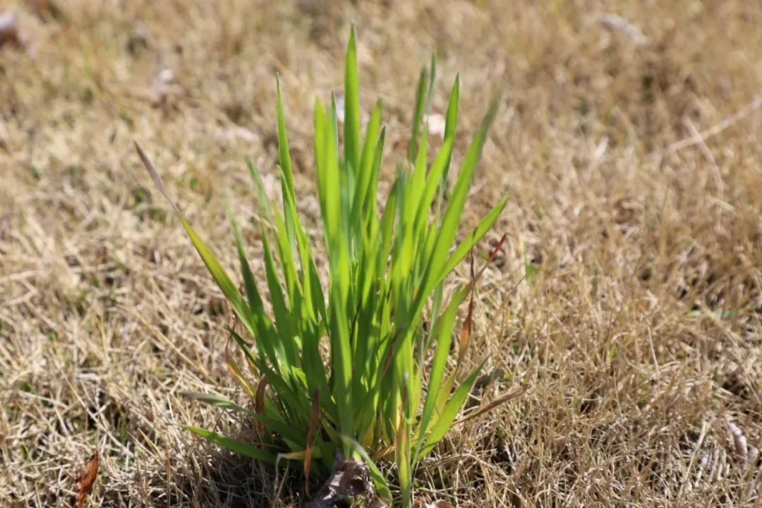 首页-人生就是博