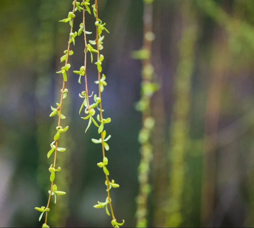 首页-人生就是博