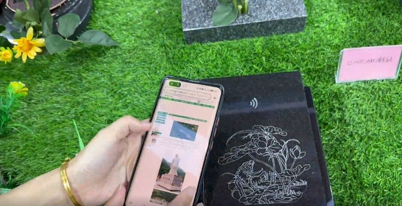 首页-人生就是博