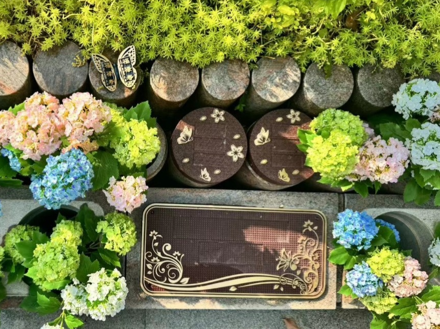 首页-人生就是博