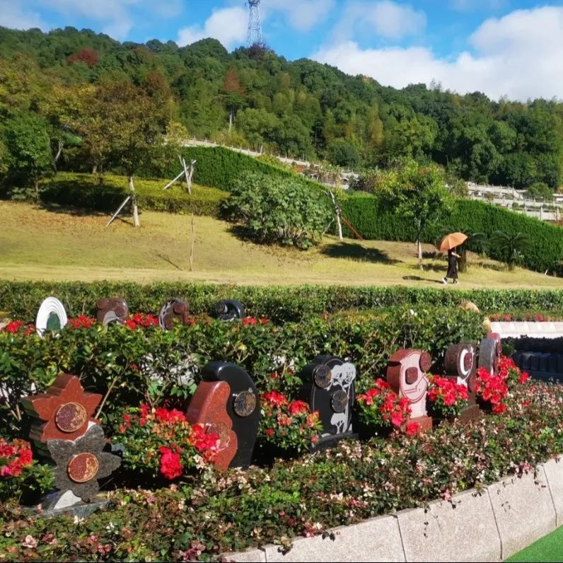 首页-人生就是博