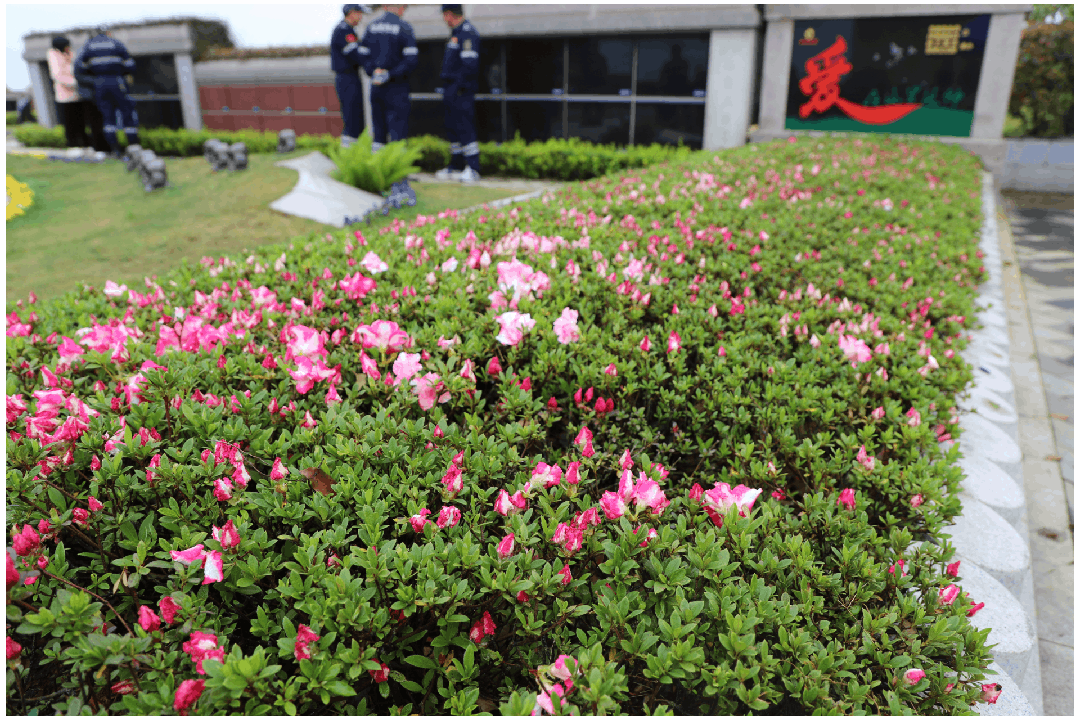 首页-人生就是博