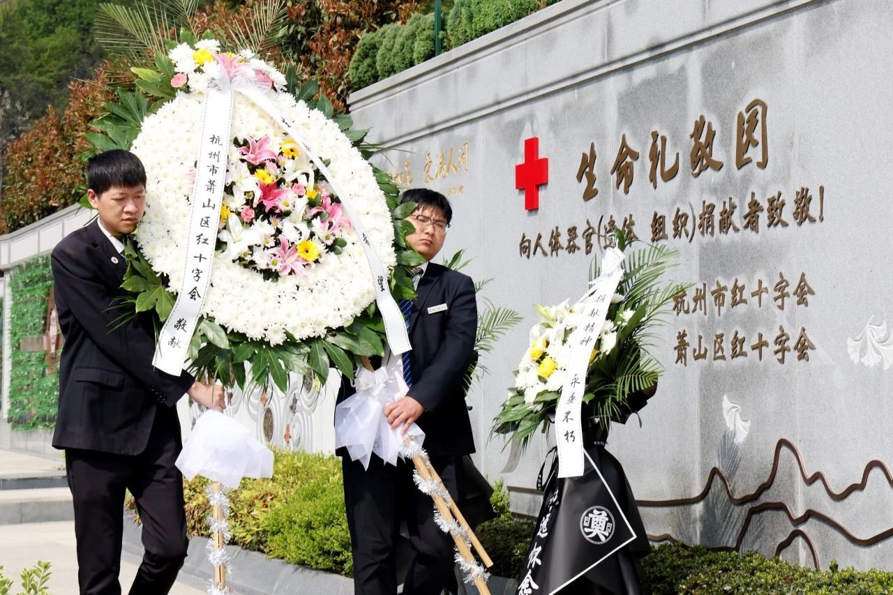 首页-人生就是博