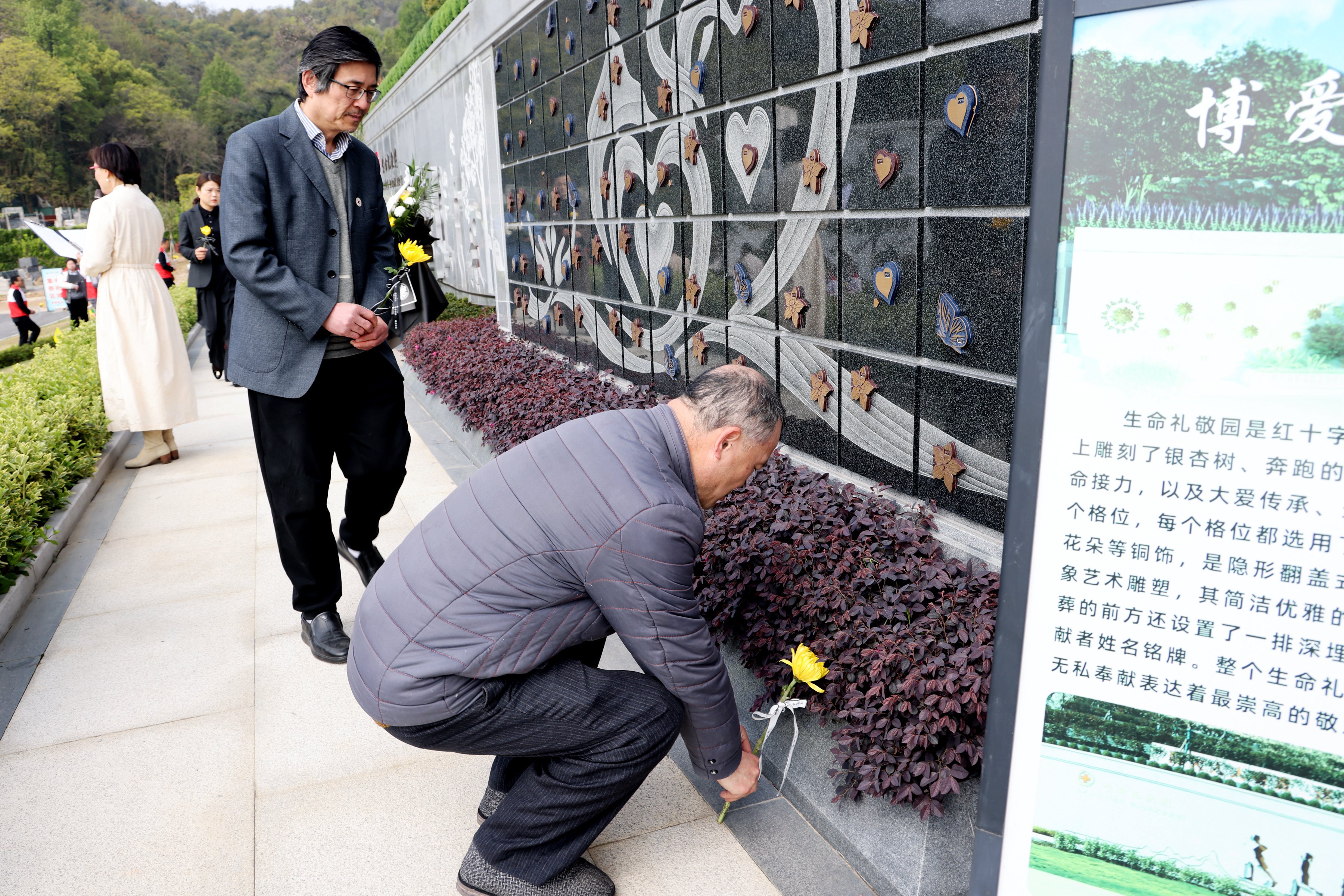 首页-人生就是博