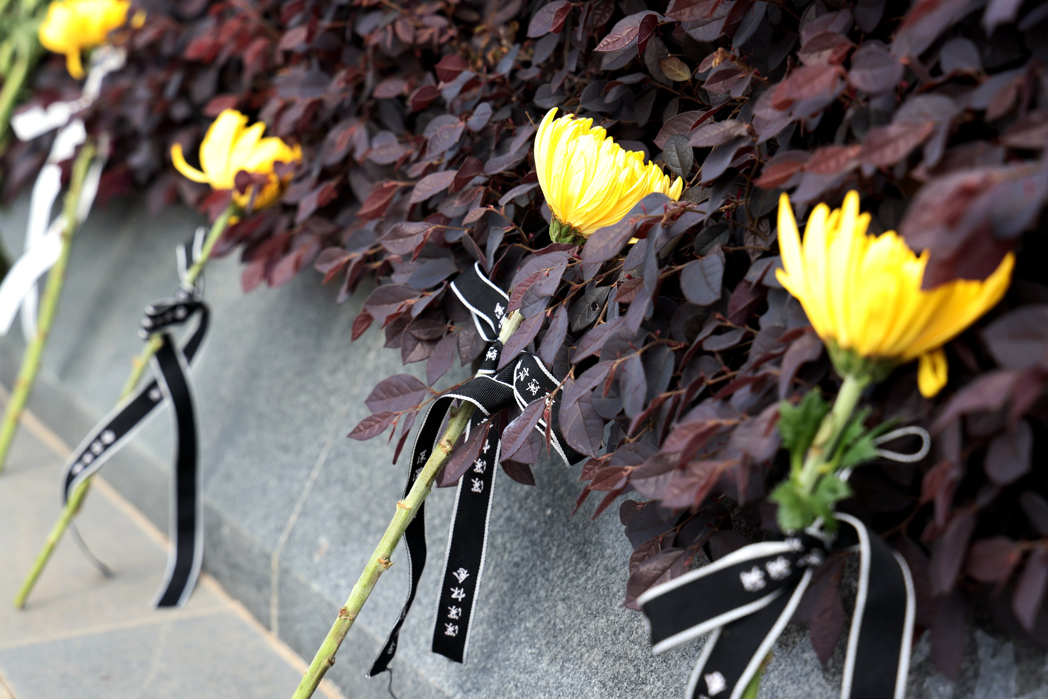 首页-人生就是博