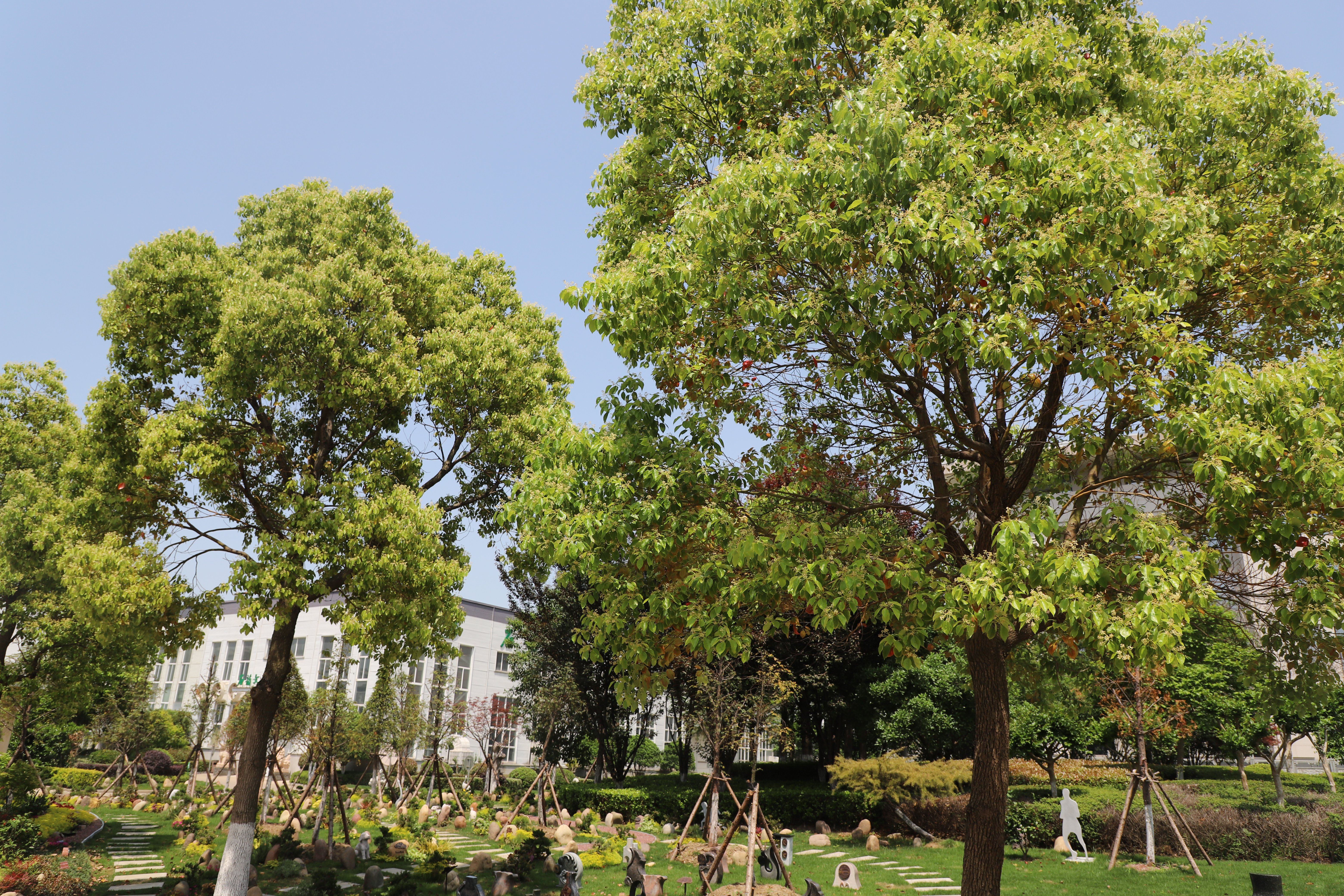 首页-人生就是博