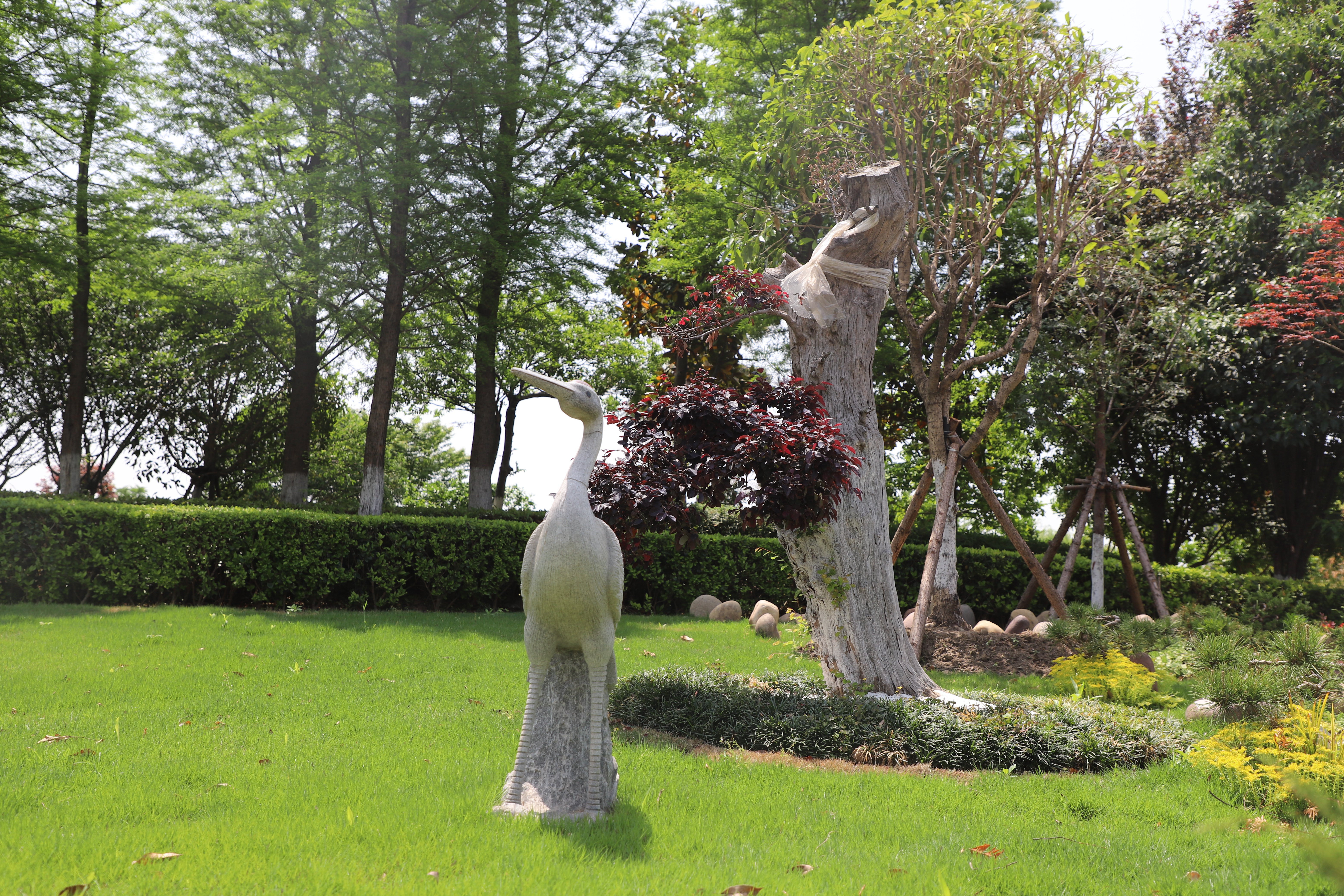 首页-人生就是博