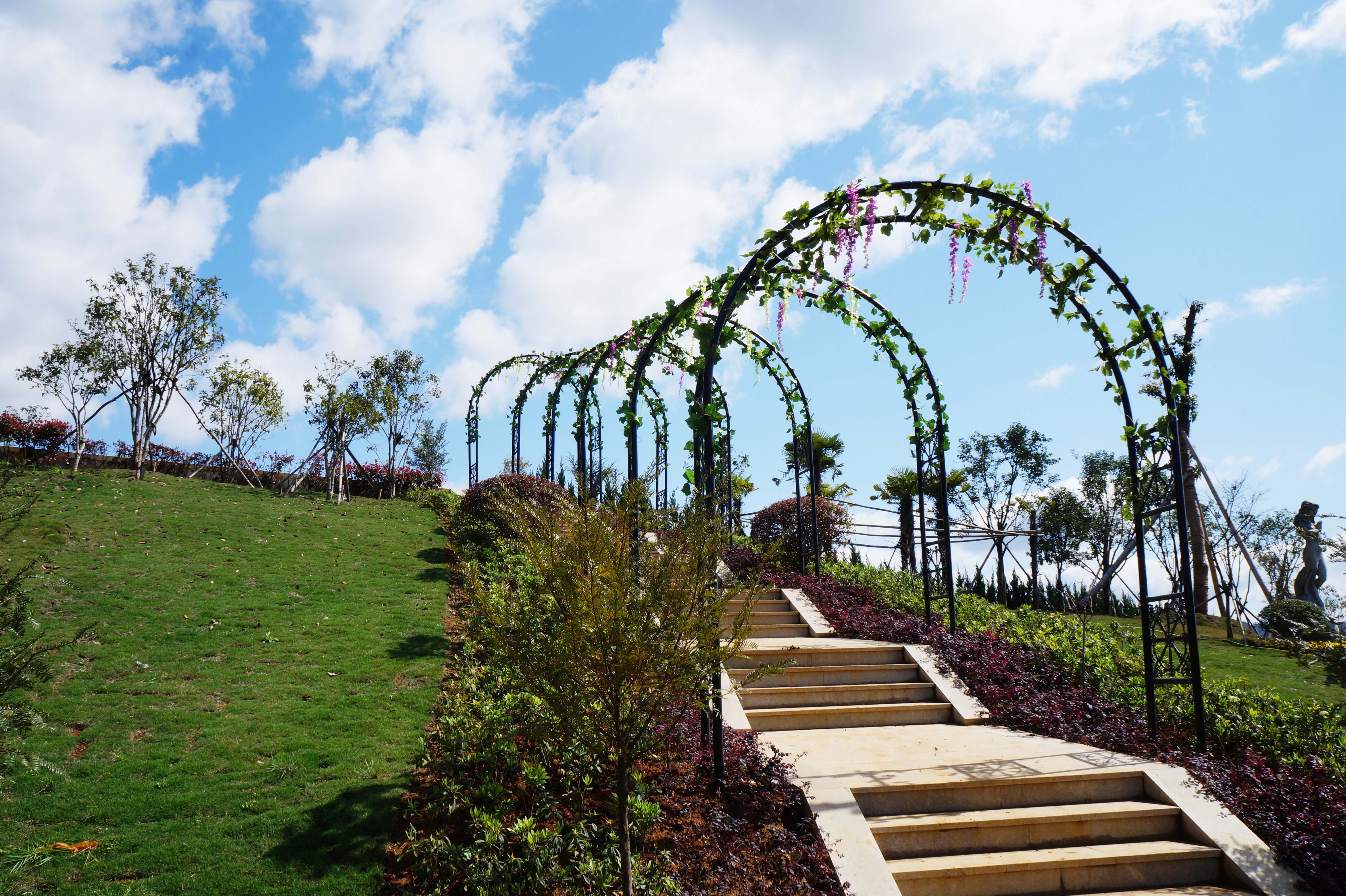 首页-人生就是博