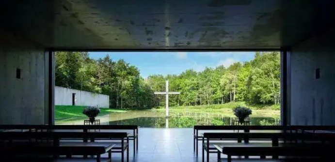 首页-人生就是博