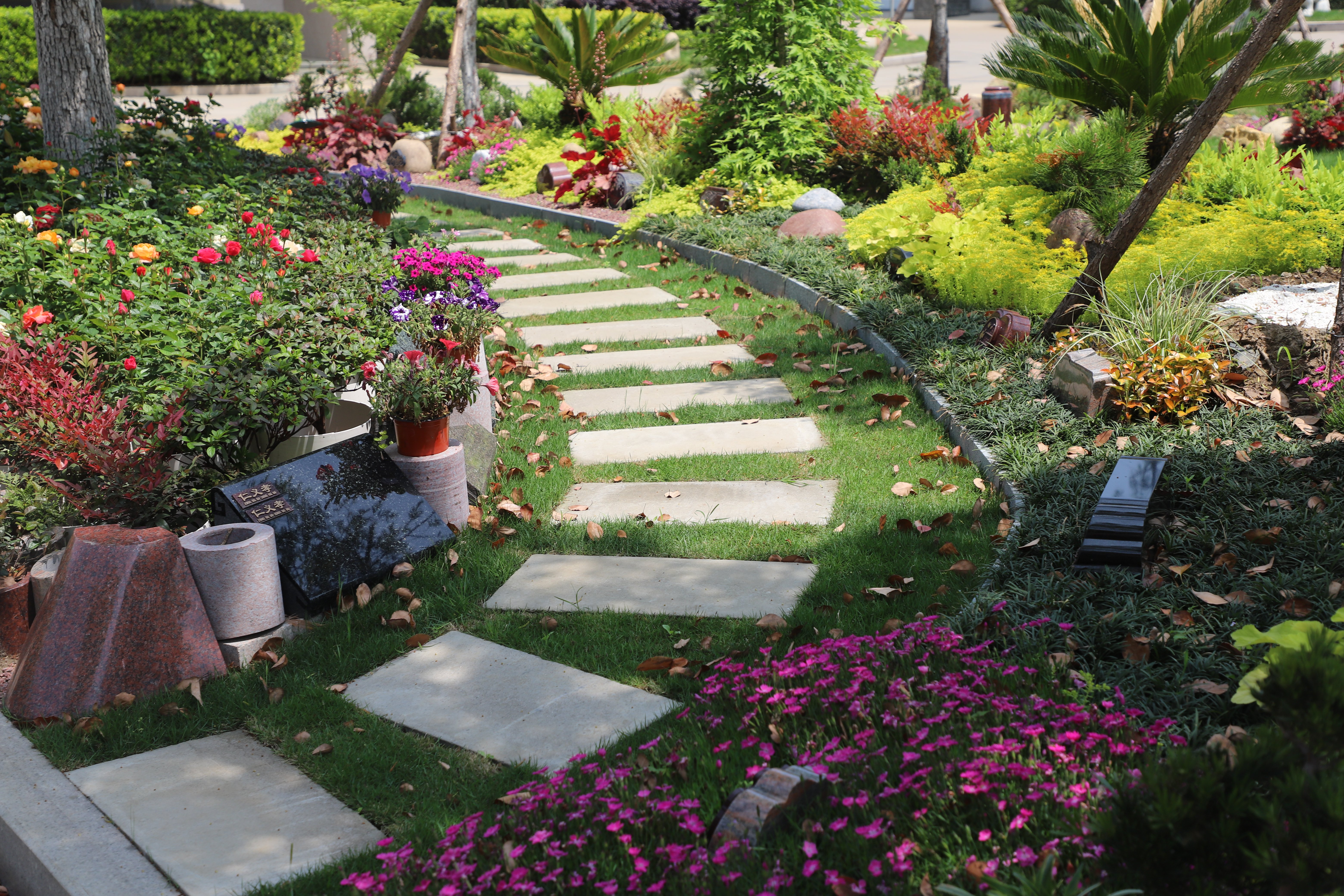 首页-人生就是博