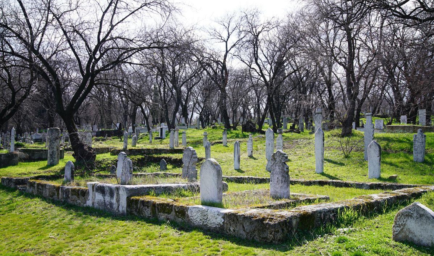 首页-人生就是博