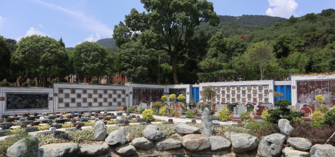 首页-人生就是博