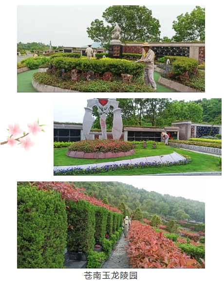 首页-人生就是博