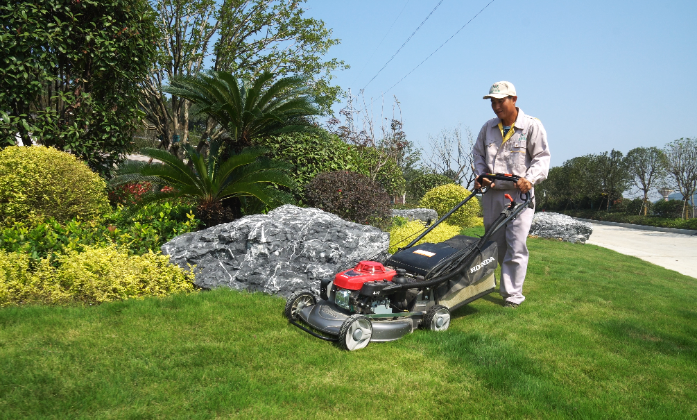 首页-人生就是博