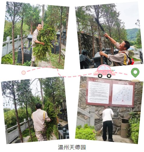 首页-人生就是博